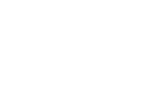 logotipo-da-lize-grandao-300x210.fw